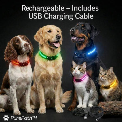 LED Collar - PurePath™