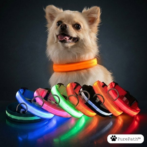 LED Collar - PurePath™