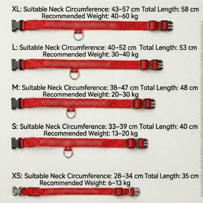 LED Collar - PurePath™