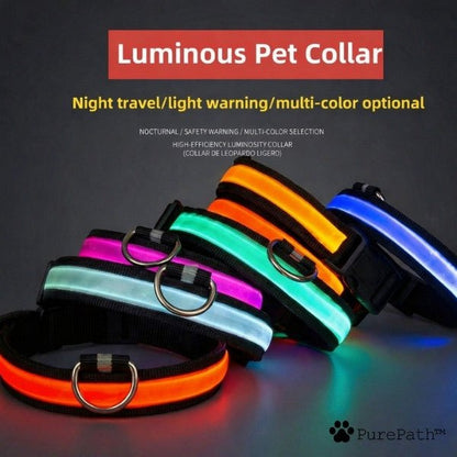 LED Collar - PurePath™