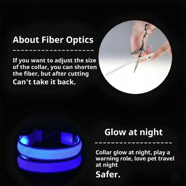 LED Collar - PurePath™