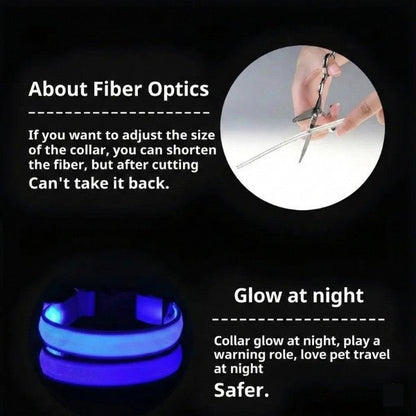 LED Collar - PurePath™