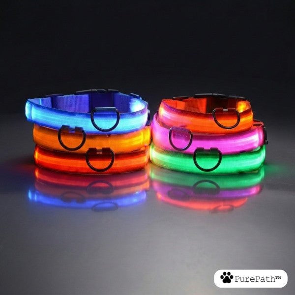 LED Collar - PurePath™