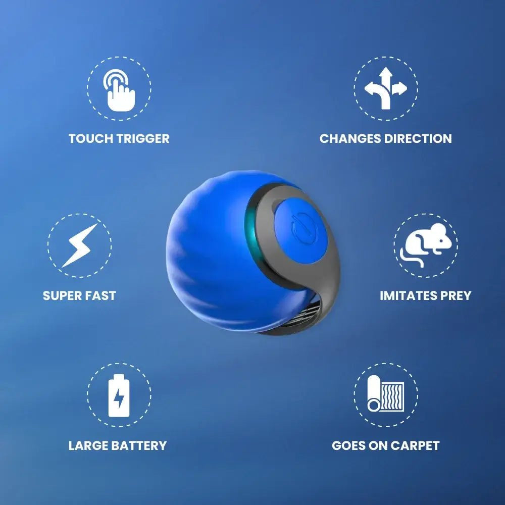 Speedy Tail 2.0 - PurePath™ Toys
