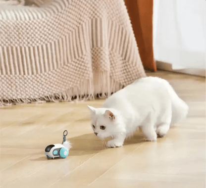 Turbo Tail 2.0 - PurePath™ Toys
