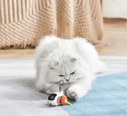 Turbo Tail 2.0 - PurePath™ Toys