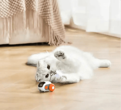 Turbo Tail 2.0 - PurePath™ Toys